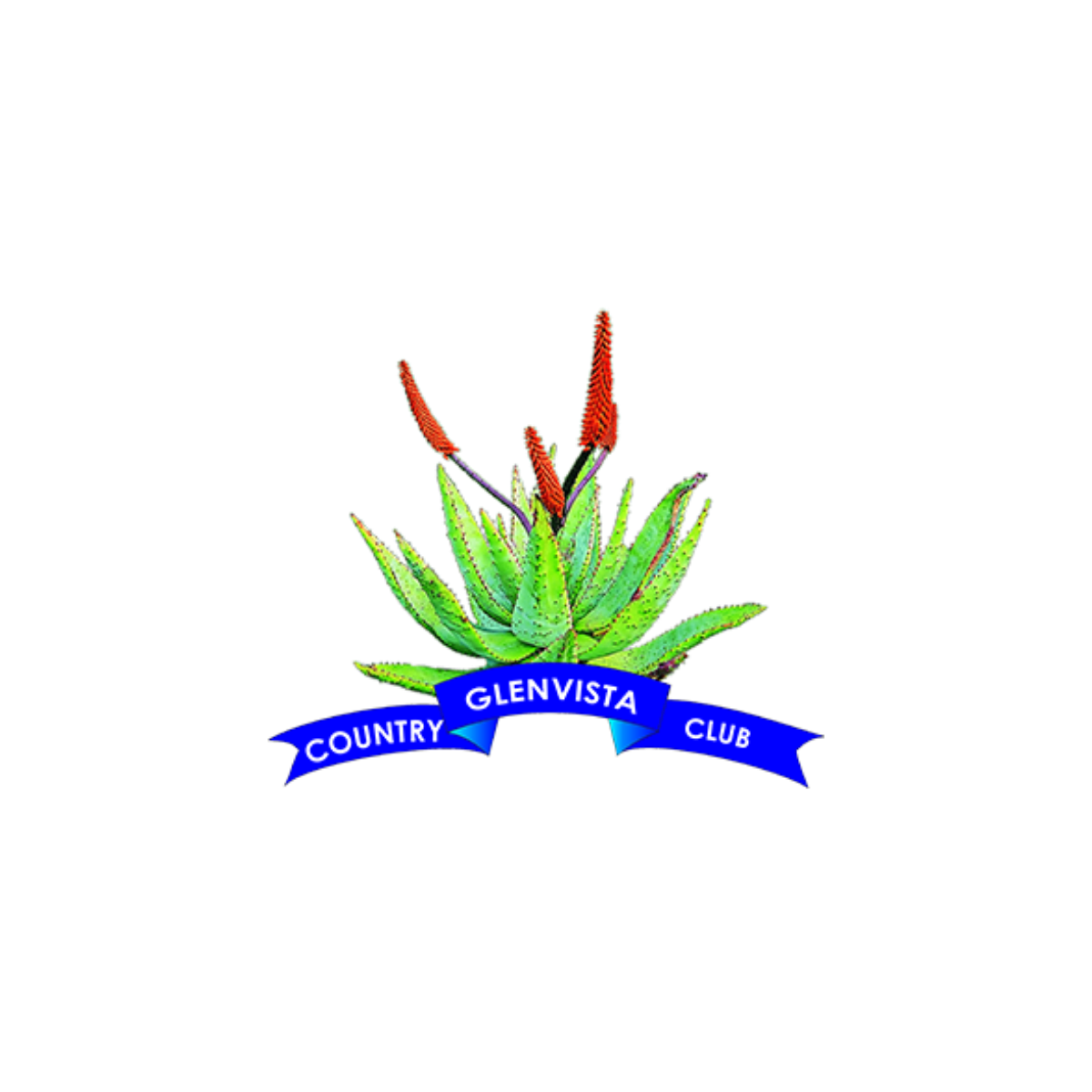 8.png